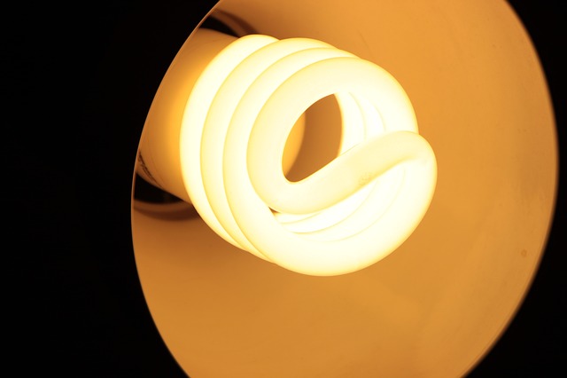 cfl-grow-light