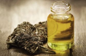 Where to Buy CBD Oil in South Africa + the Top 10 Products